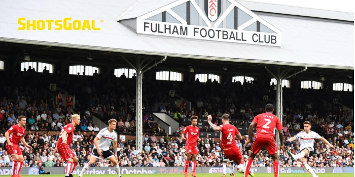 Performa dan Statistik dari Fulham